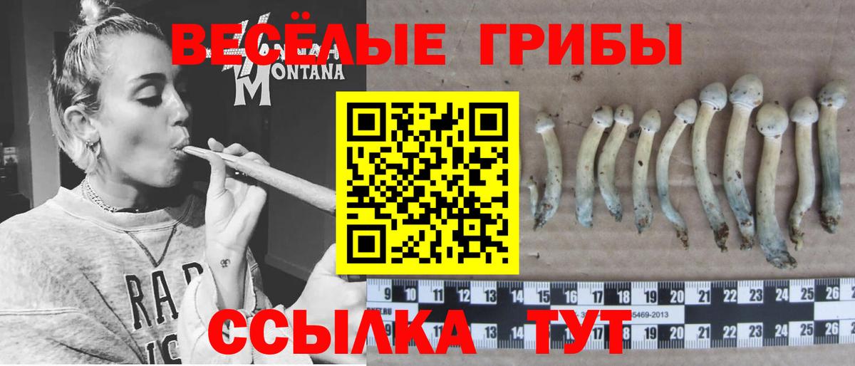 Псилоцибиновые грибы GOLDEN TEACHER  Вход с VPN  Ипатово  дарнет шоп  Псилоцибиновые грибы мицелий 